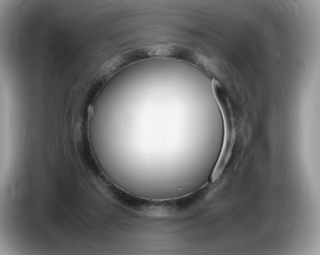 X0000086760209200704271737