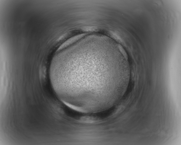 X0000086760211200704271737