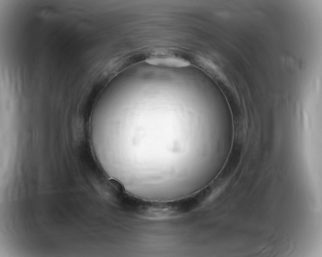 X0000086760213200704271737