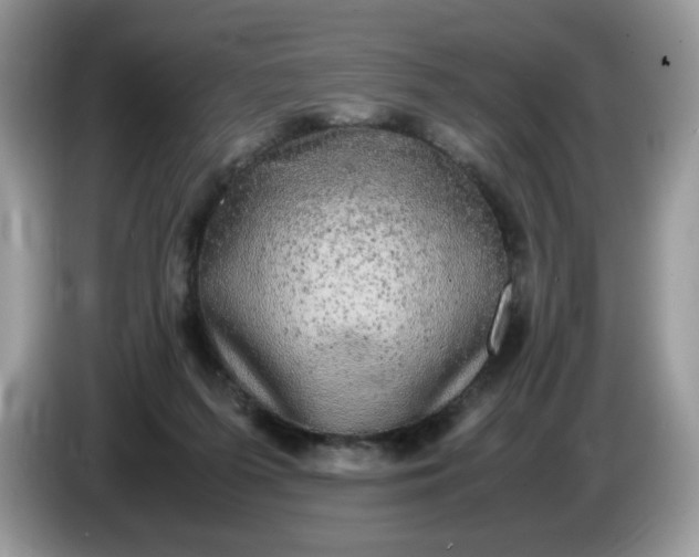 X0000086760215200704271737