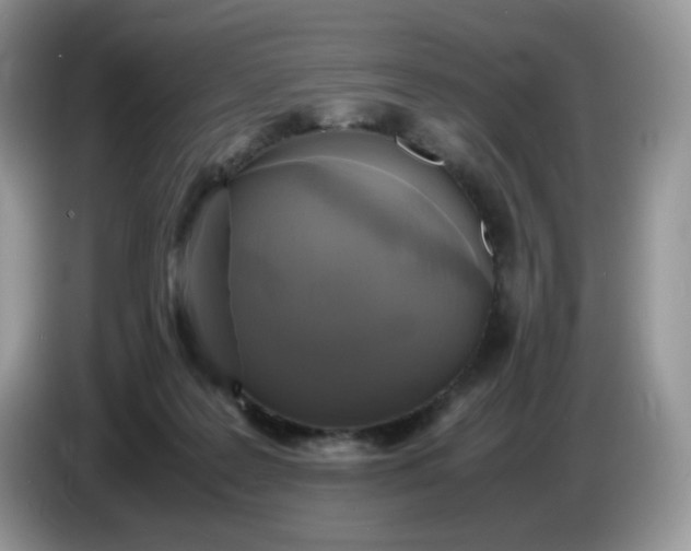 X0000086760219200704271736