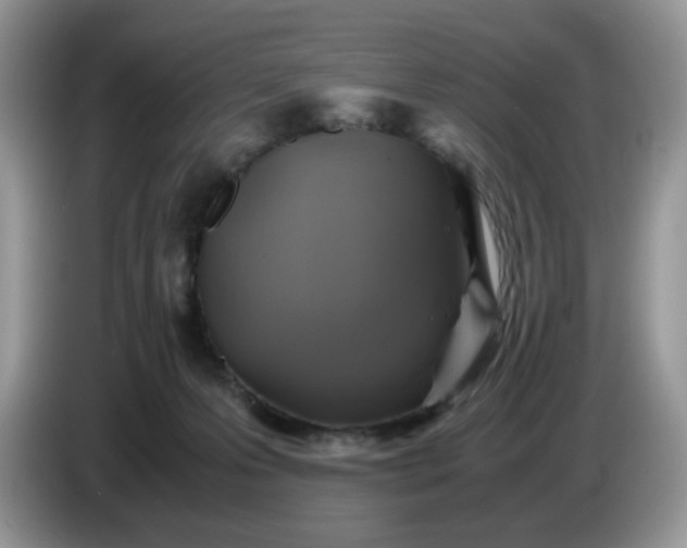 X0000086760223200704271736