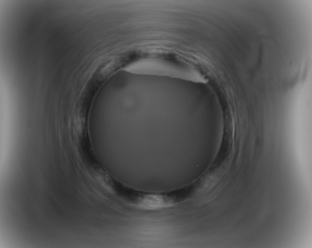 X0000086760227200704271736