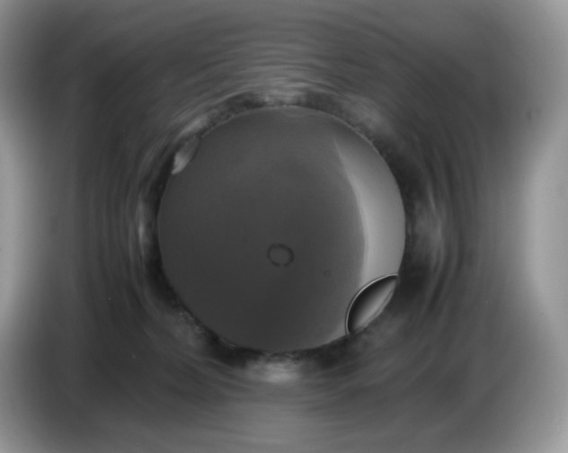 X0000086760228200704271736