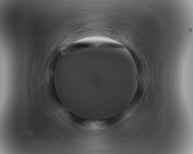 X0000086760229200704271736