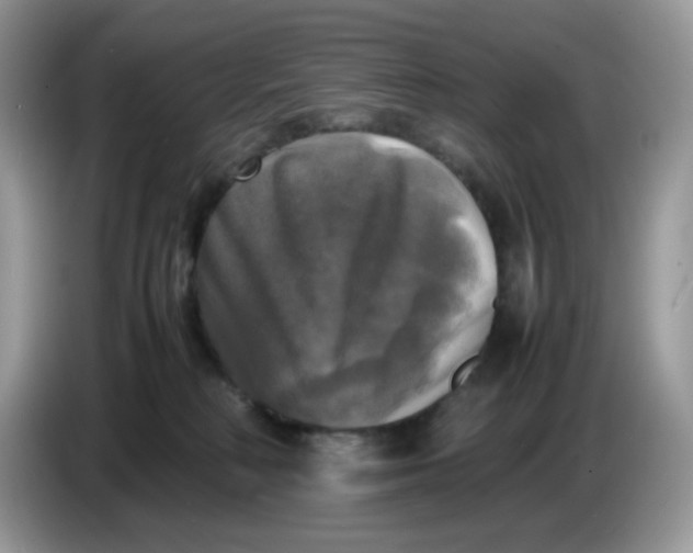 X0000086760230200704271736