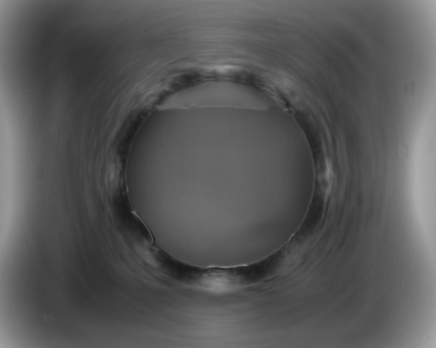 X0000086760231200704271736