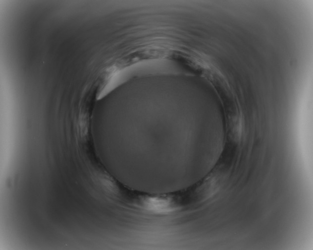 X0000086760232200704271736