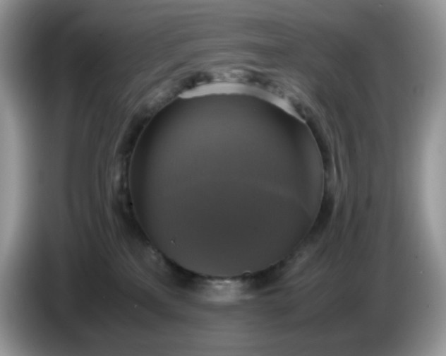 X0000086760233200704271736