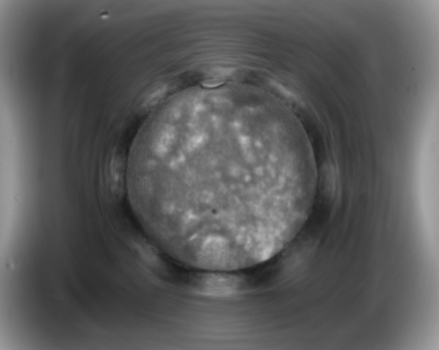 X0000086760234200704271736