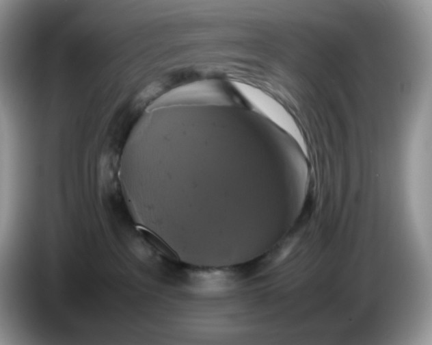 X0000086760237200704271736