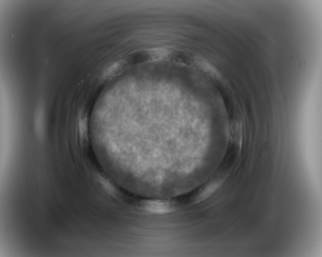 X0000086760238200704271736