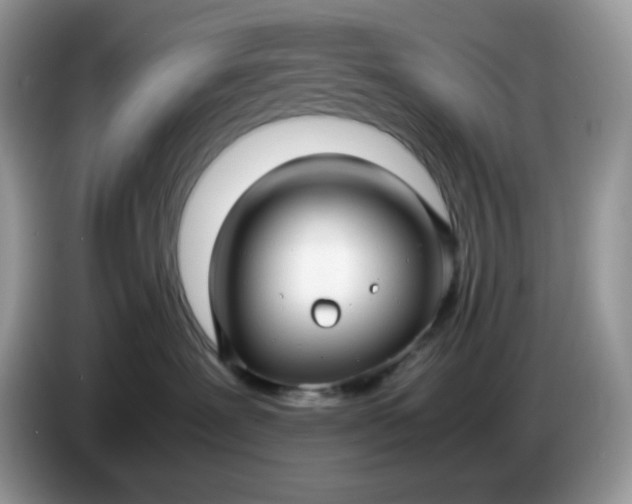 X0000086760239200704271736