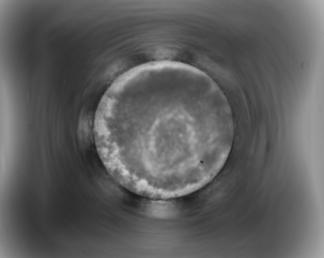 X0000086760240200704271736