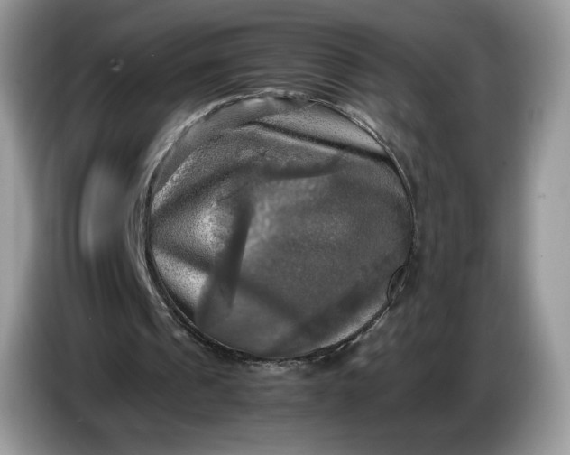 X0000086760241200704271736