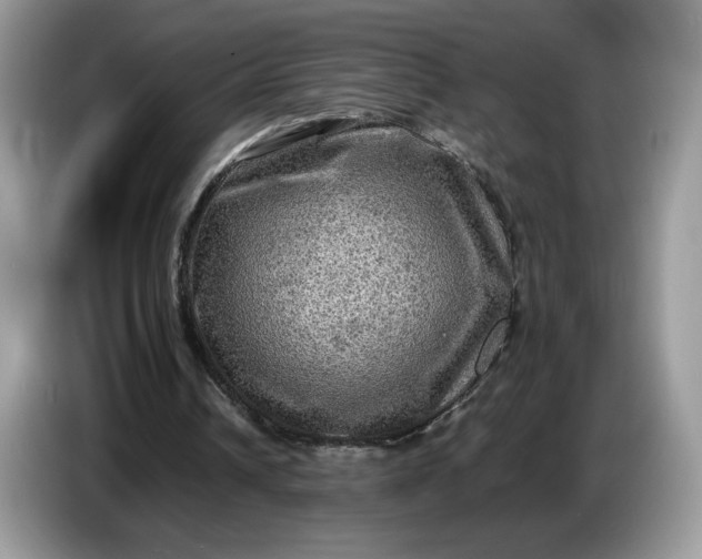 X0000086760242200704271736