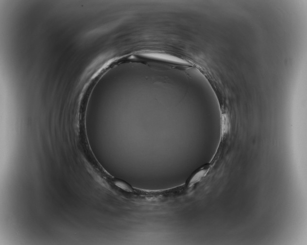 X0000086760243200704271736