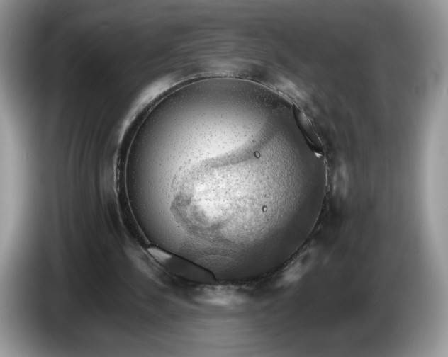 X0000086760244200704271736