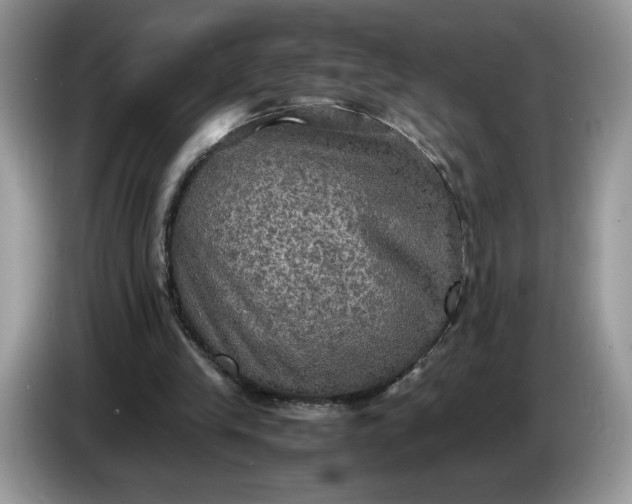 X0000086760245200704271736