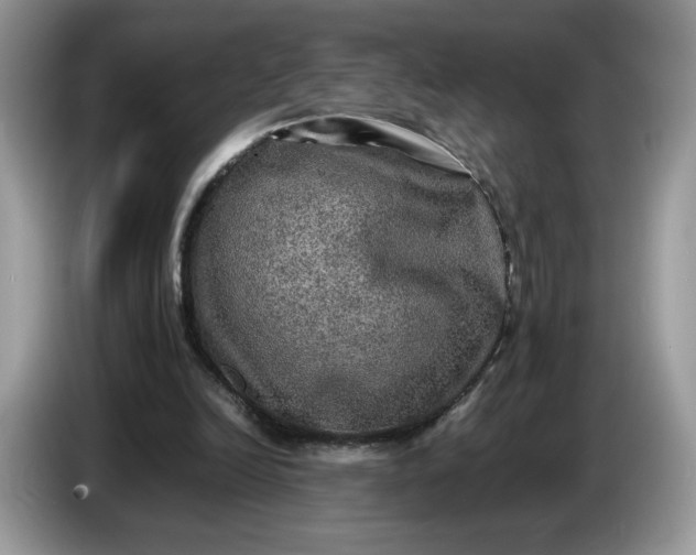 X0000086760246200704271736