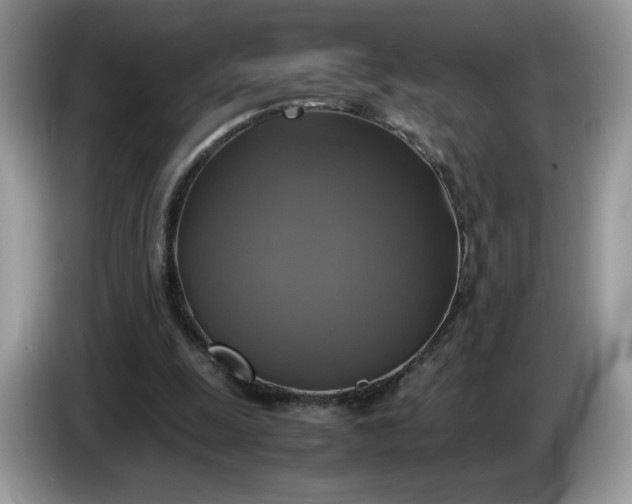 X0000086760247200704271736