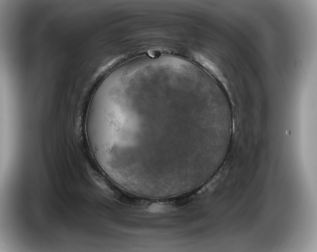 X0000086760249200704271736