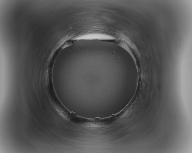 X0000086760250200704271736