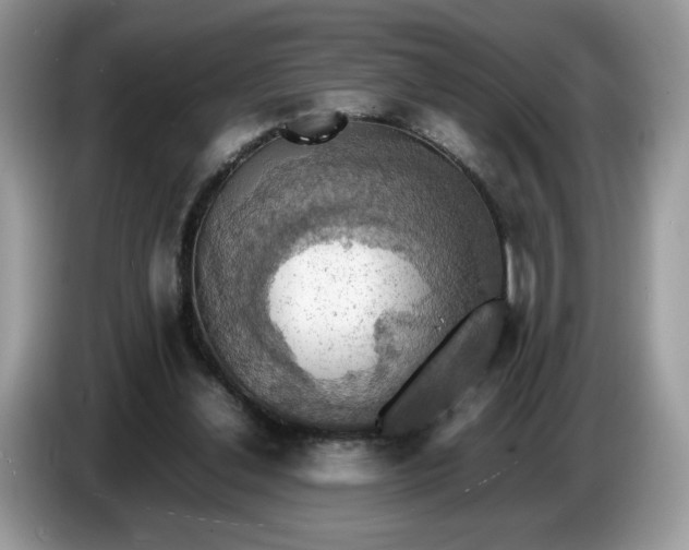 X0000086760252200704271736