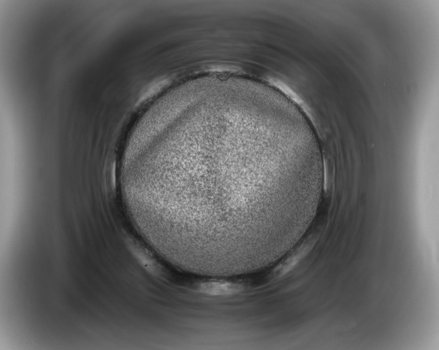 X0000086760253200704271736