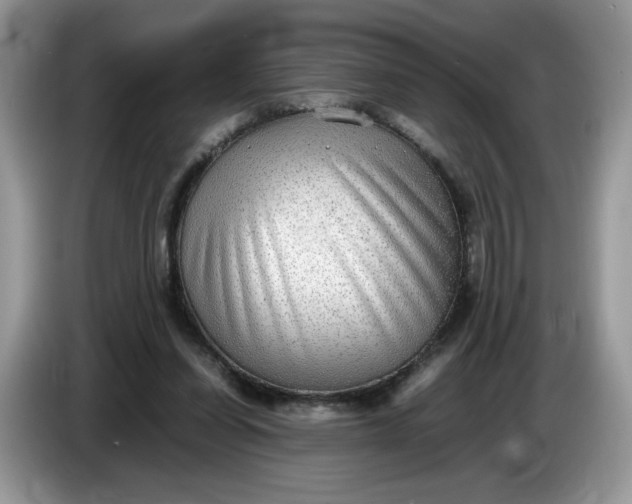 X0000086760254200704271736