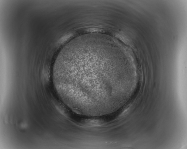 X0000086760255200704271736