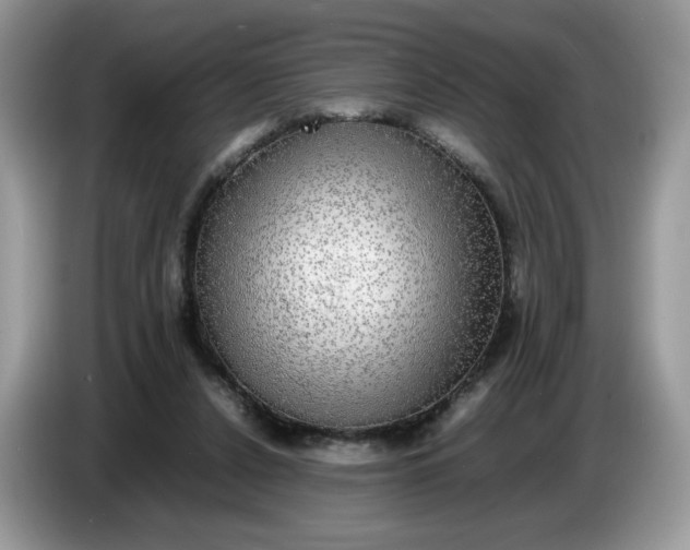 X0000086760256200704271736