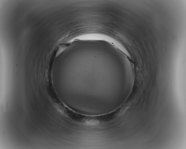 X0000086760258200704271736