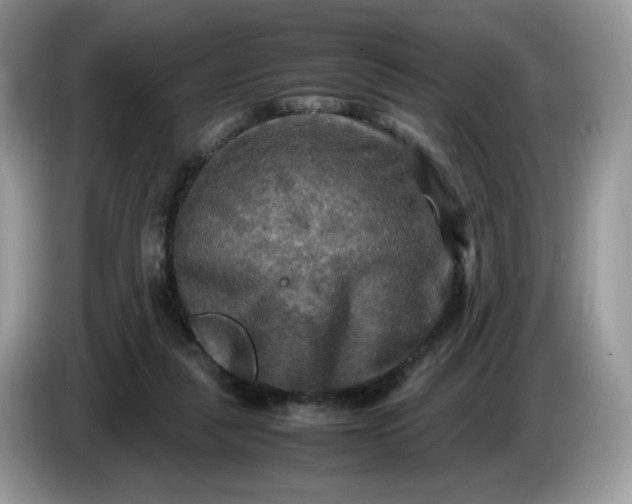 X0000086760259200704271736