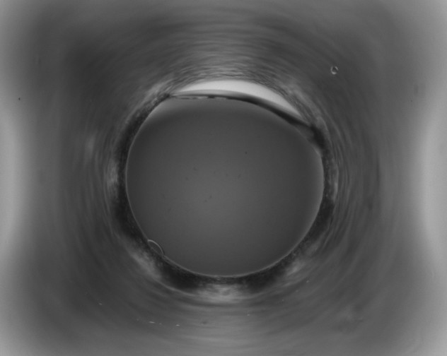 X0000086760260200704271736