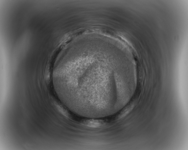 X0000086760261200704271736