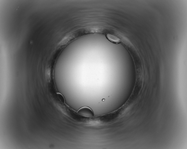 X0000086760262200704271736