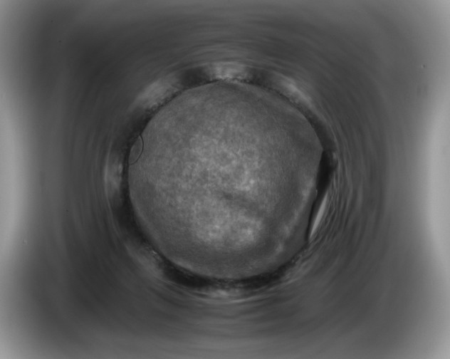 X0000086760263200704271736