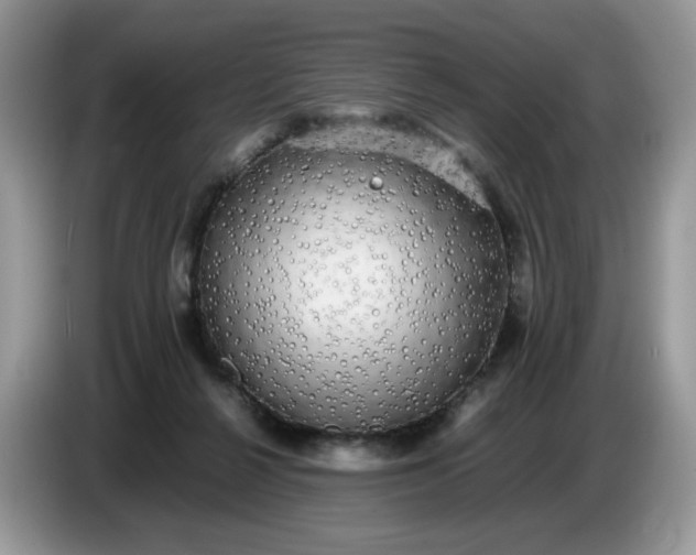 X0000086760264200704271736