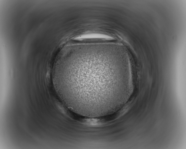 X0000086760265200704271736