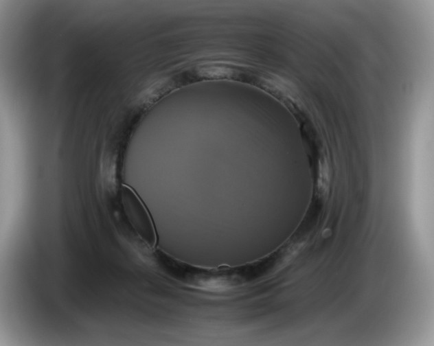 X0000086760267200704271736