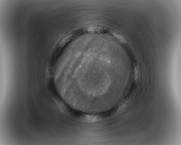 X0000086760272200704271736