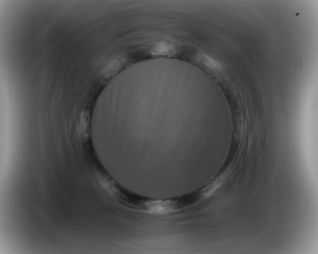 X0000086760273200704271736