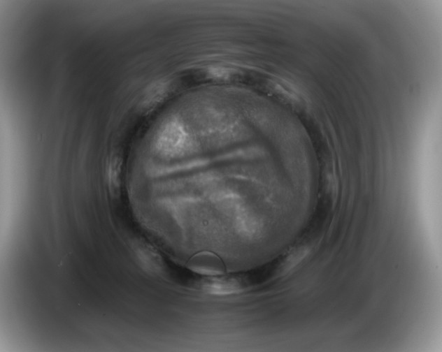 X0000086760275200704271736