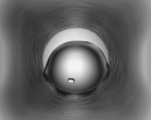 X0000086760276200704271736