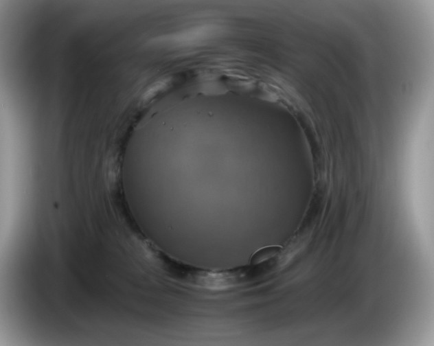 X0000086760277200704271736