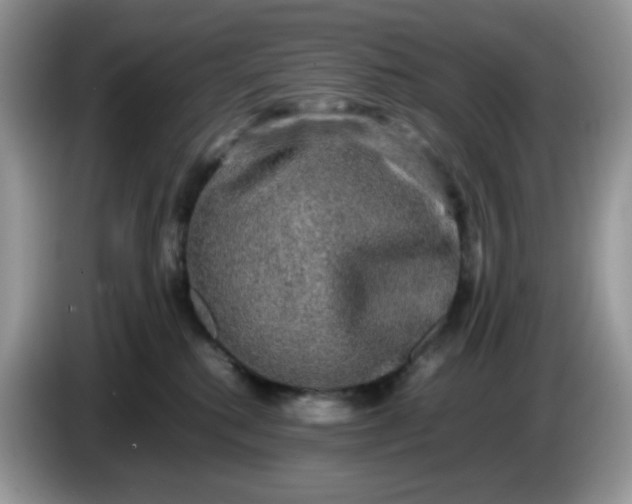 X0000086760280200704271736