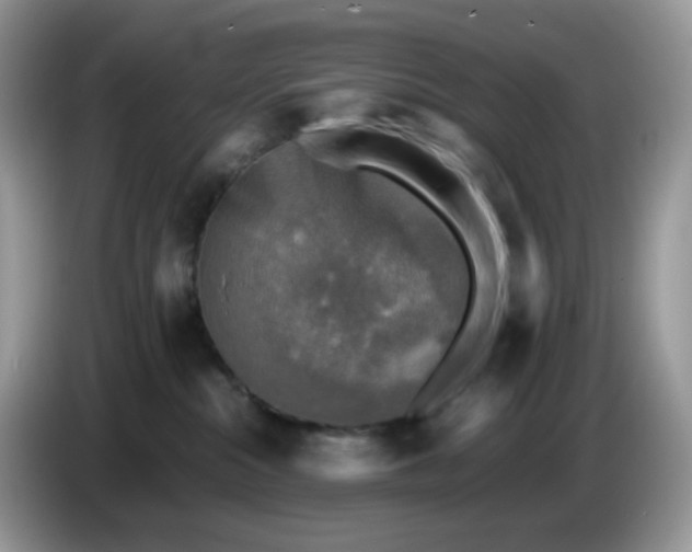 X0000086760284200704271736