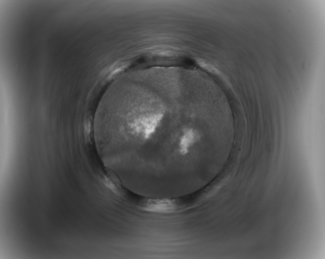 X0000086760288200704271736