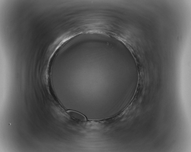 X0000086760290200704271736